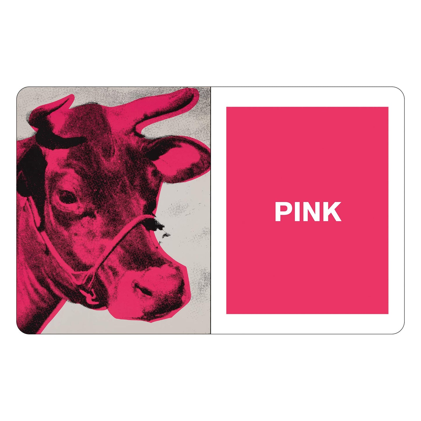 Andy Warhol What Colors Do You See? Board Book