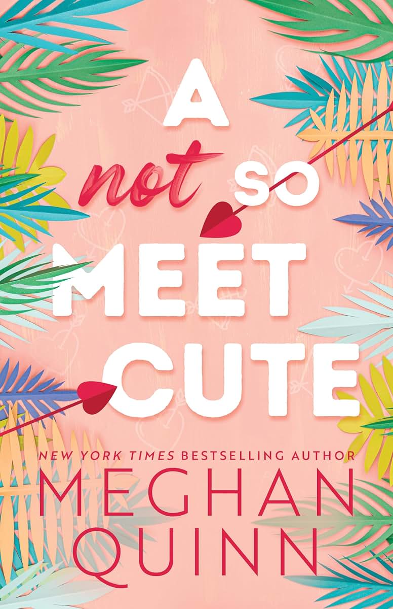 A Not So Meet Cute (Cane Brothers, 1)