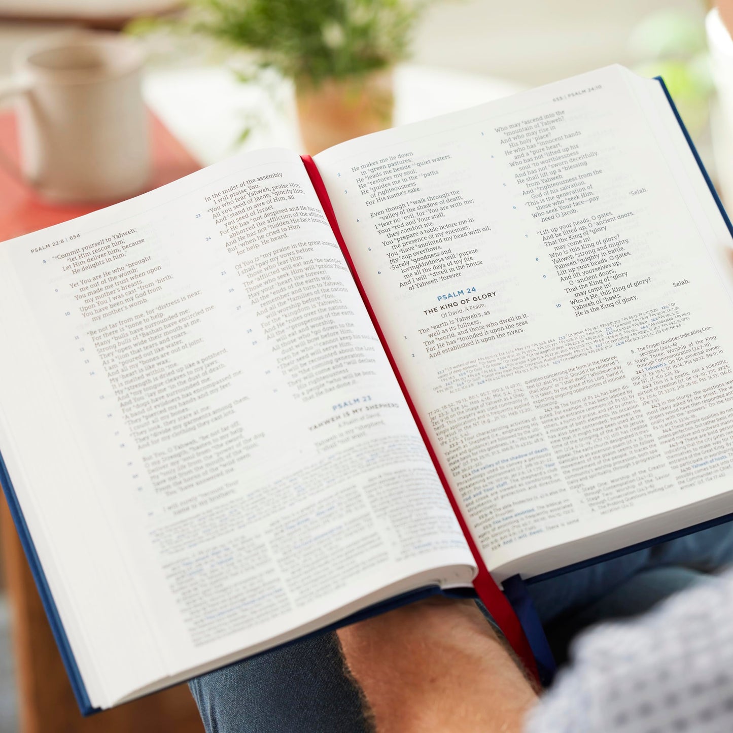 LSB, MacArthur Study Bible, Brown Leathersoft, Comfort Print, Thumb Indexed: Unleashing God's Truth One Verse at a Time (Holy Bible, Legacy Standard Bible)