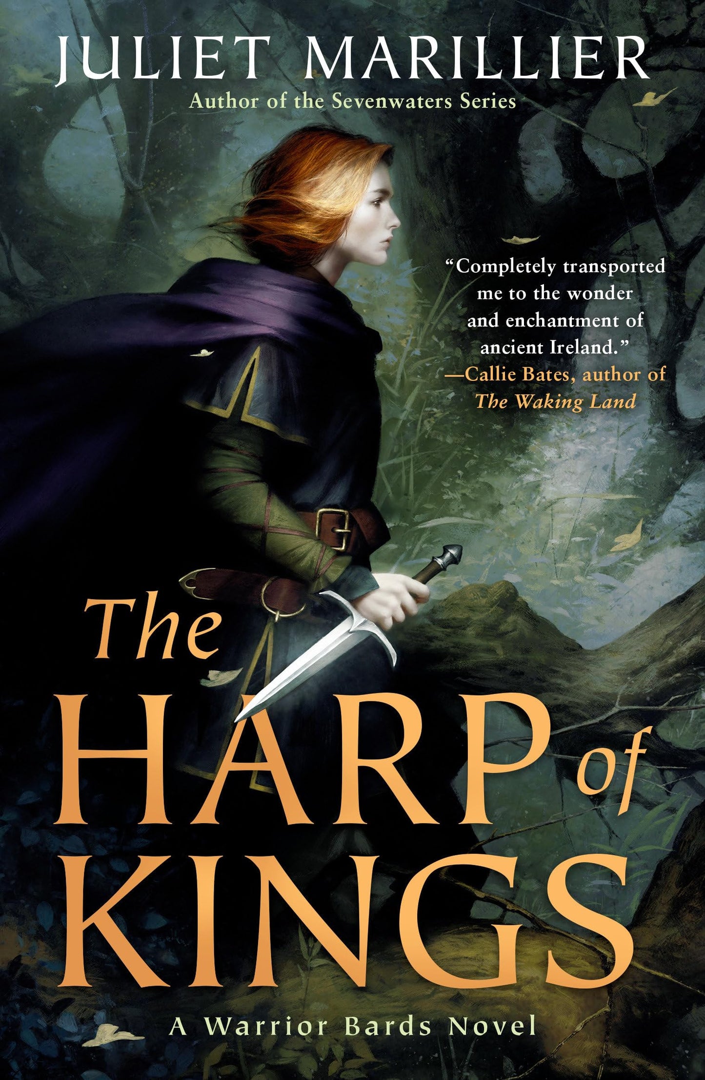 The Harp of Kings (Warrior Bards) by Marillier, Juliet