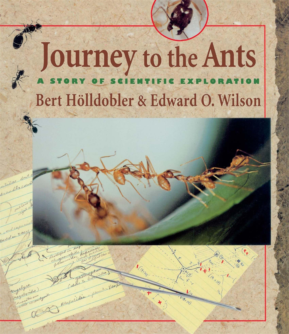 Journey to the Ants: A Story of Scientific Exploration