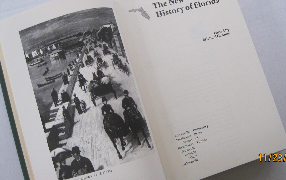 The New History of Florida