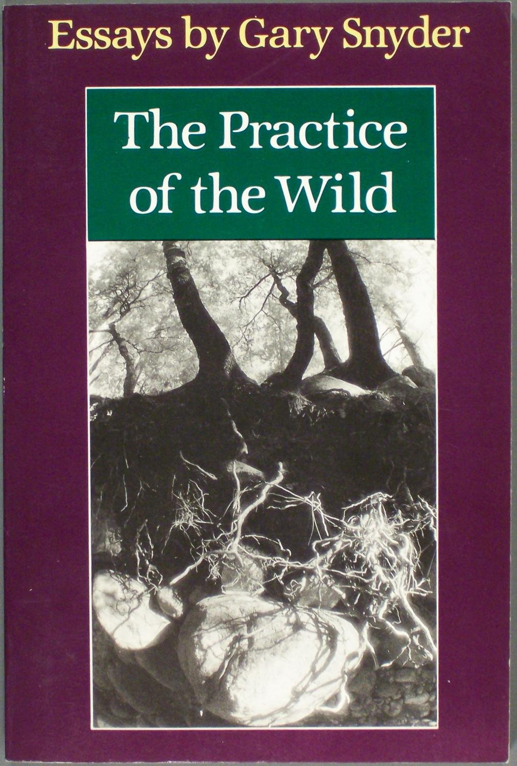 The Practice of the Wild by Snyder, Gary