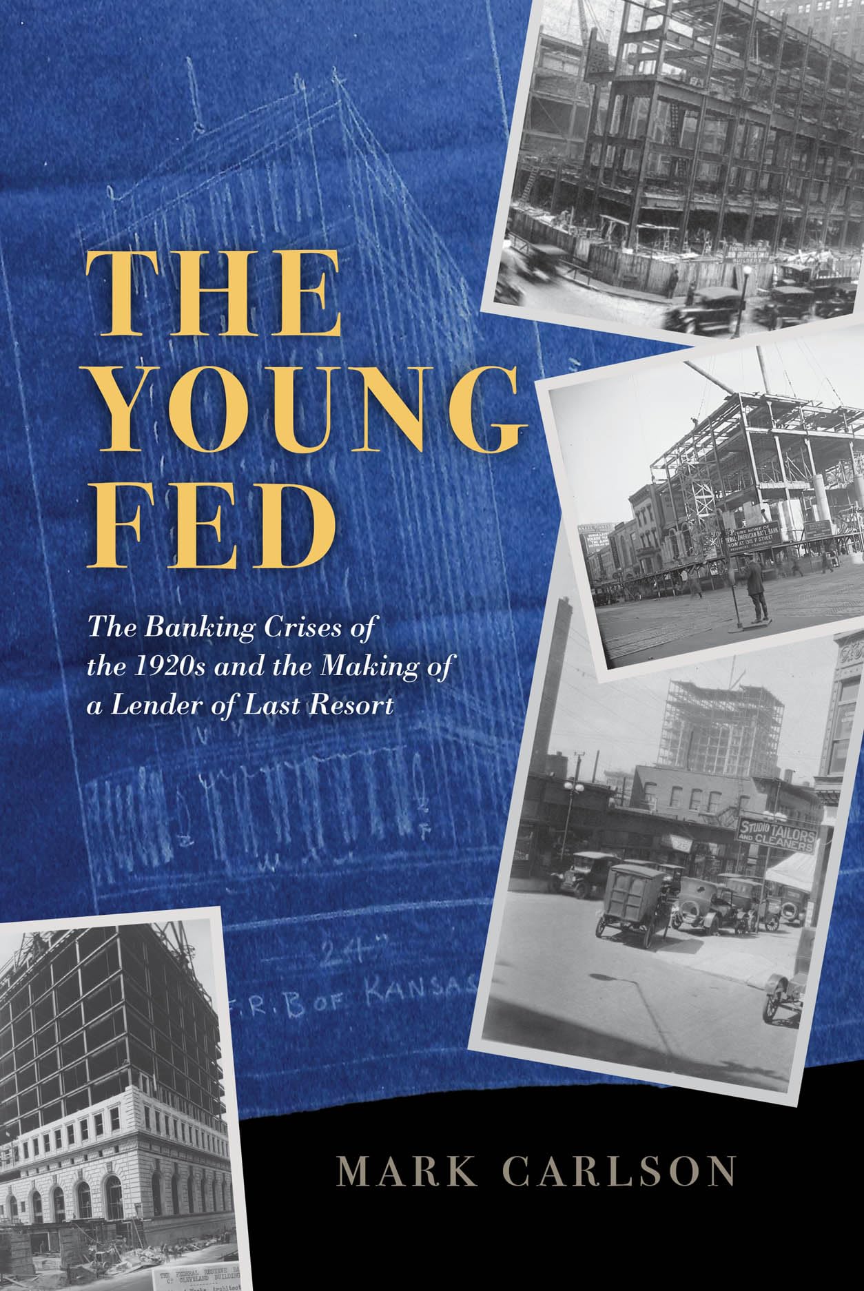 The Young Fed: The Banking Crises of the 1920s and the Making of a Lender of Last Resort (Markets and Governments in Economic History)