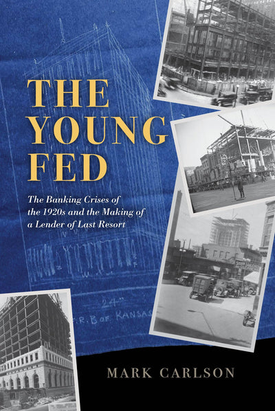 The Young Fed: The Banking Crises of the 1920s and the Making of a Lender of Last Resort (Markets and Governments in Economic History)