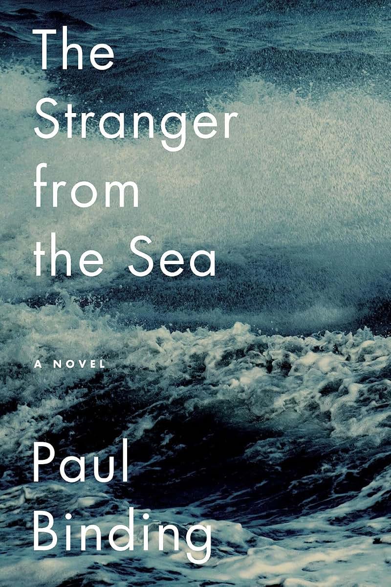 The Stranger from the Sea: A Novel