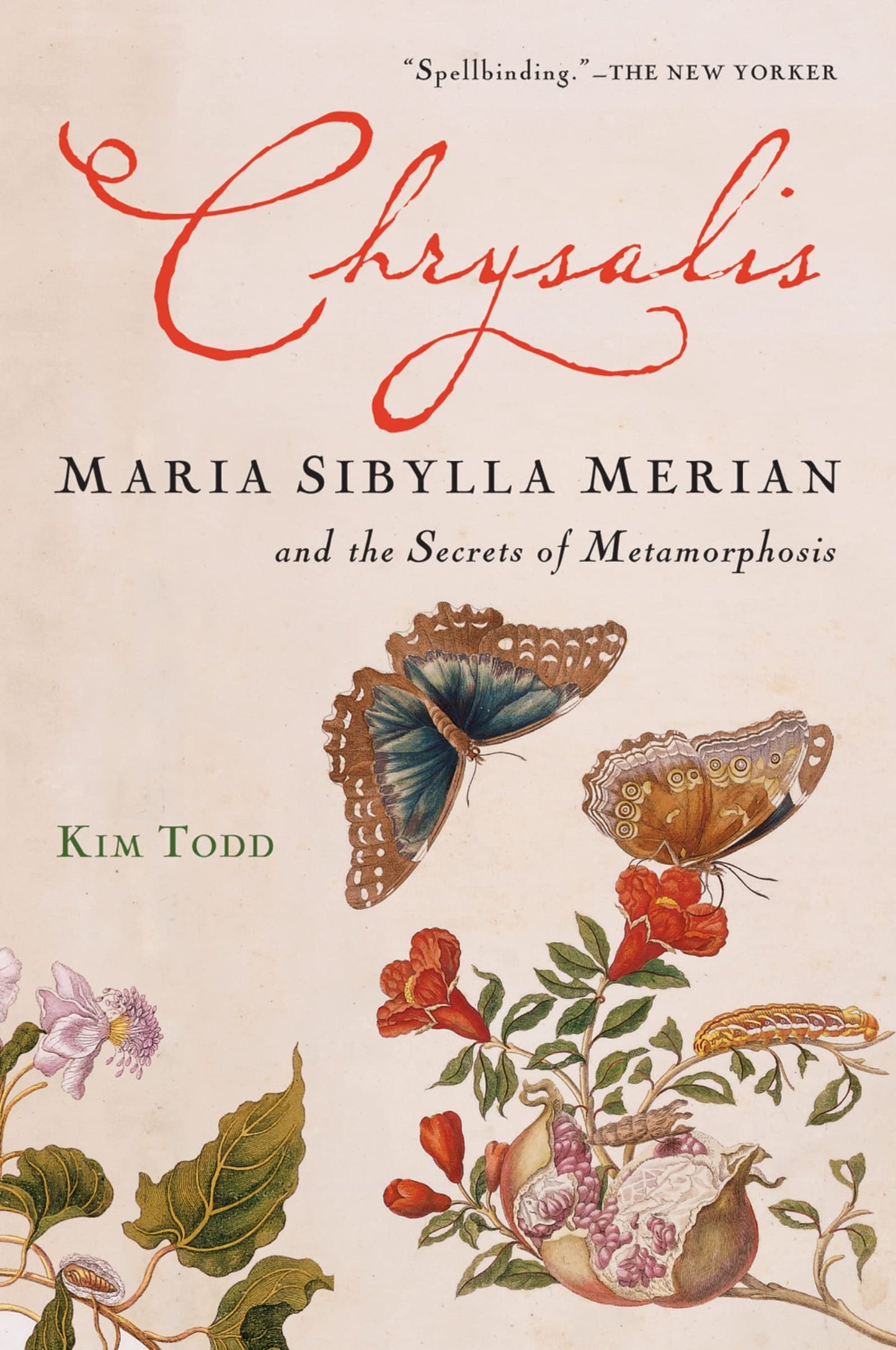 Chrysalis: Maria Sibylla Merian and the Secrets of Metamorph