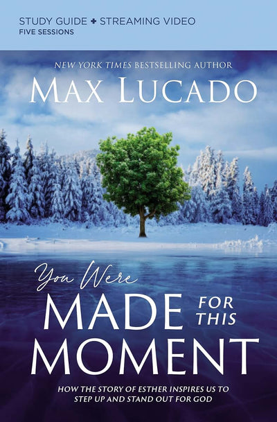 You Were Made for This Moment Bible Study Guide plus Streami