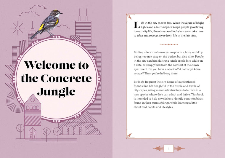 City Bird: Explore the Charming Metropolitan Melodies of Our Feathered Friends — back cover