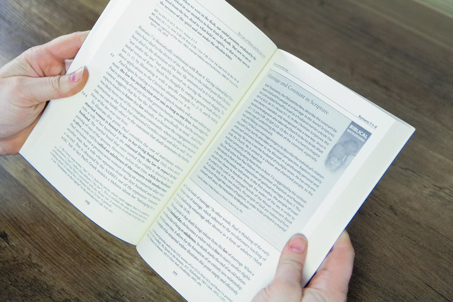 Romans: A Catholic Bible Commentary on the New Testament by Trusted Biblical Scholars CCSS (Catholic Commentary on Sacred Scripture)