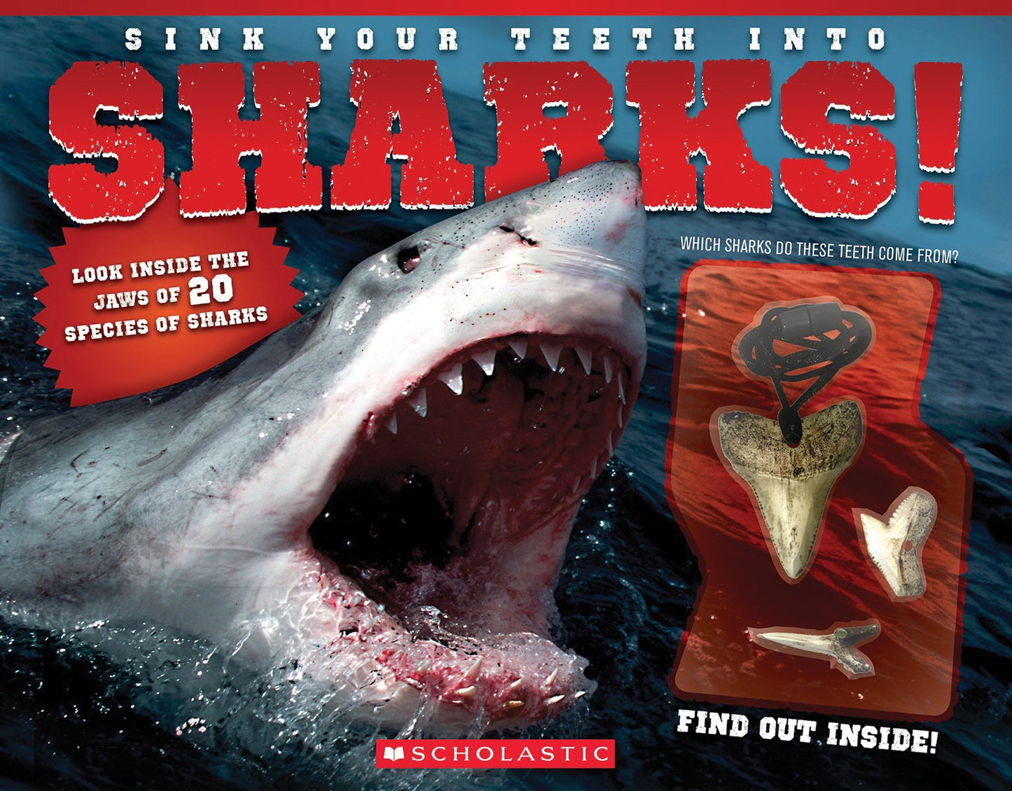 Sink Your Teeth Into Sharks! by Tracosas, L. J.