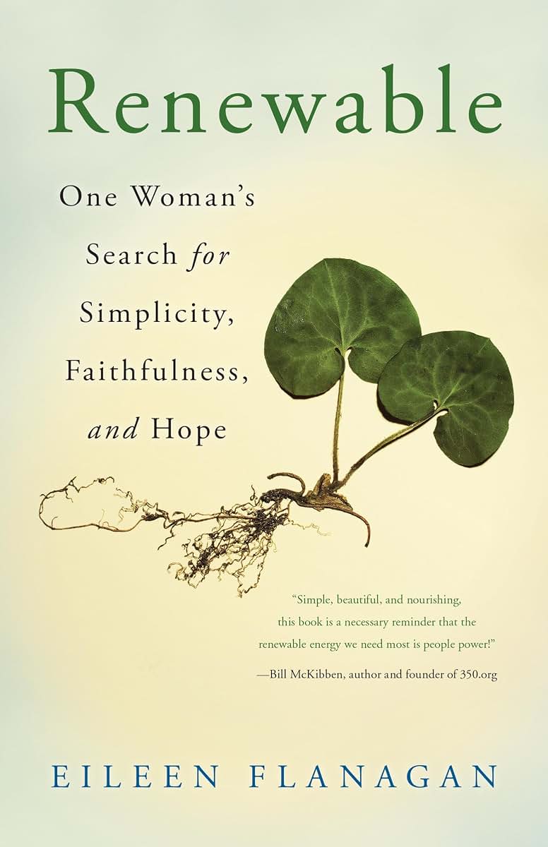 Renewable: One Womans Search for Simplicity, Faithfulness, and Hope