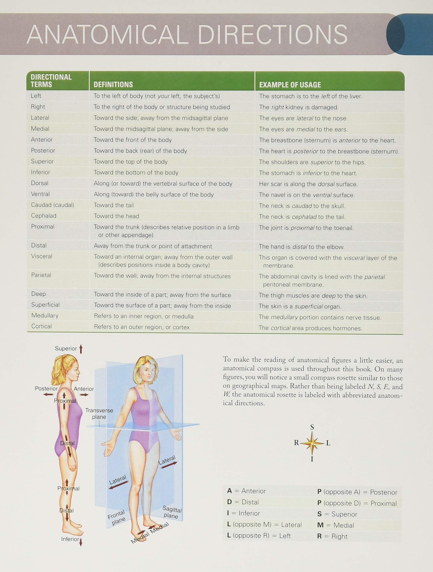 Structure & Function of the Body - Softcover