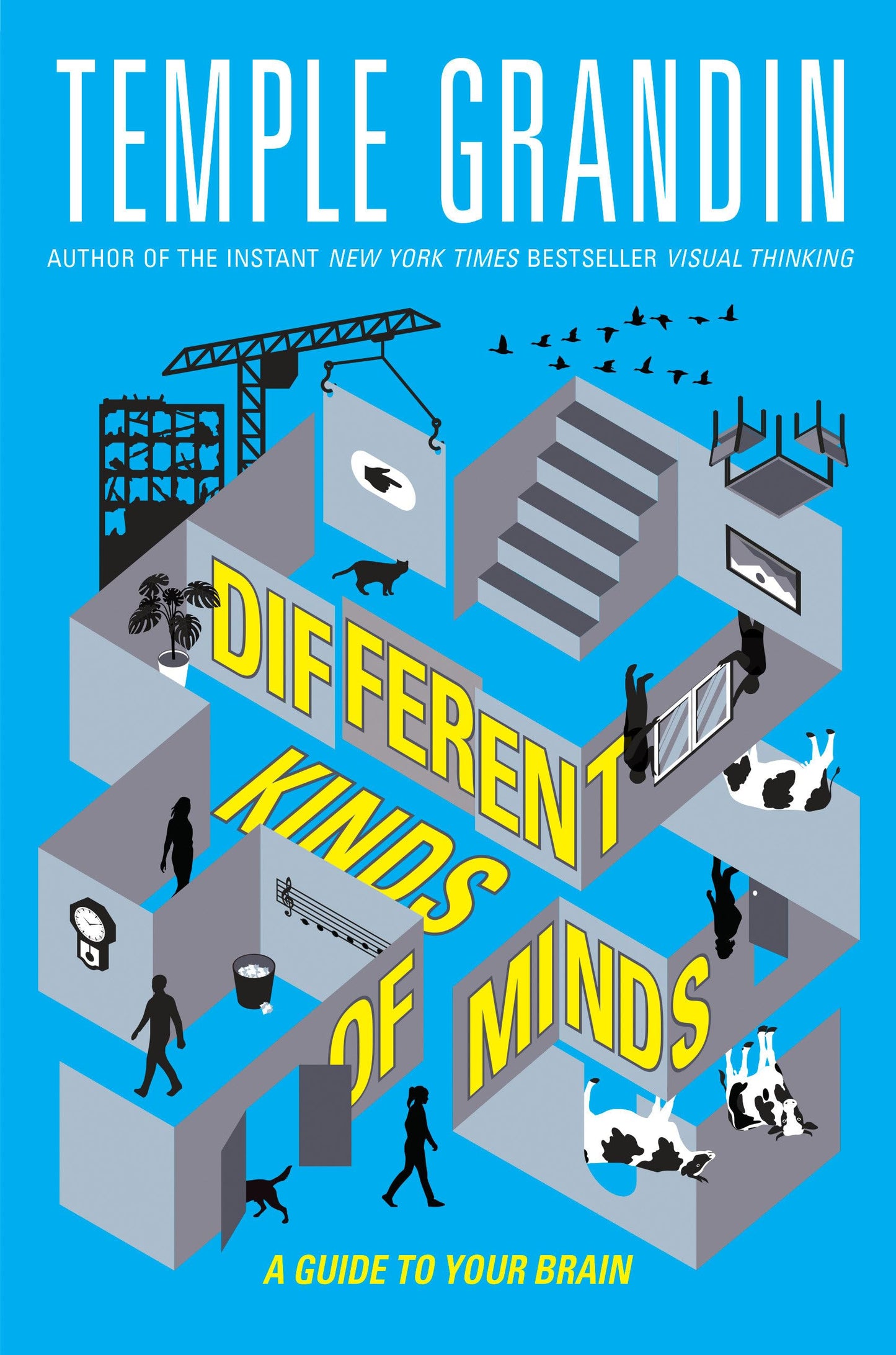 Different Kinds of Minds: A Guide to Your Brain by Grandin P