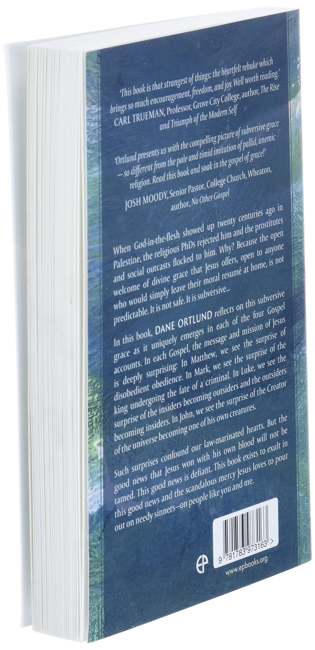 Surprised by Jesus: Subversive Grace in the Four Gospels