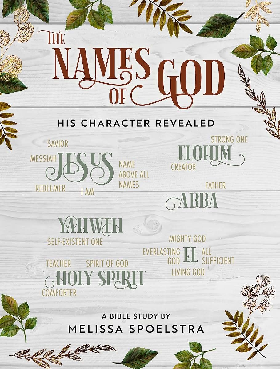 The Names of God - Women's Bible Study Participant Workbook: His Character Revealed