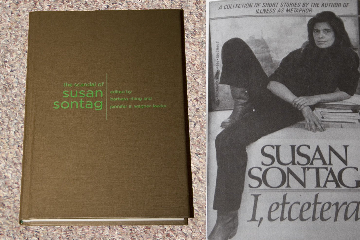 The Scandal of Susan Sontag (Gender and Culture Series)
