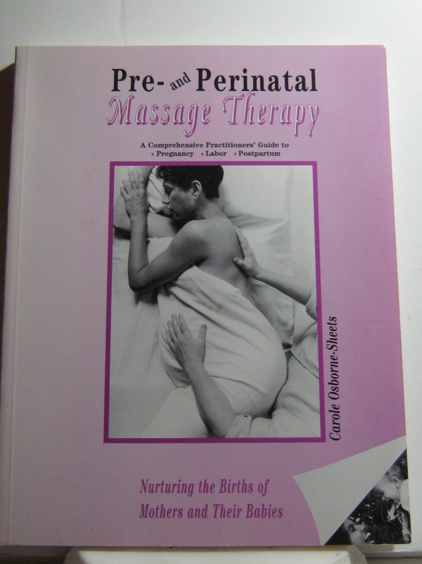 Pre and Perinatal Massage Therapy: A Comprehensive Practioners' Guide to Pregnancy, Labor, Postpartum