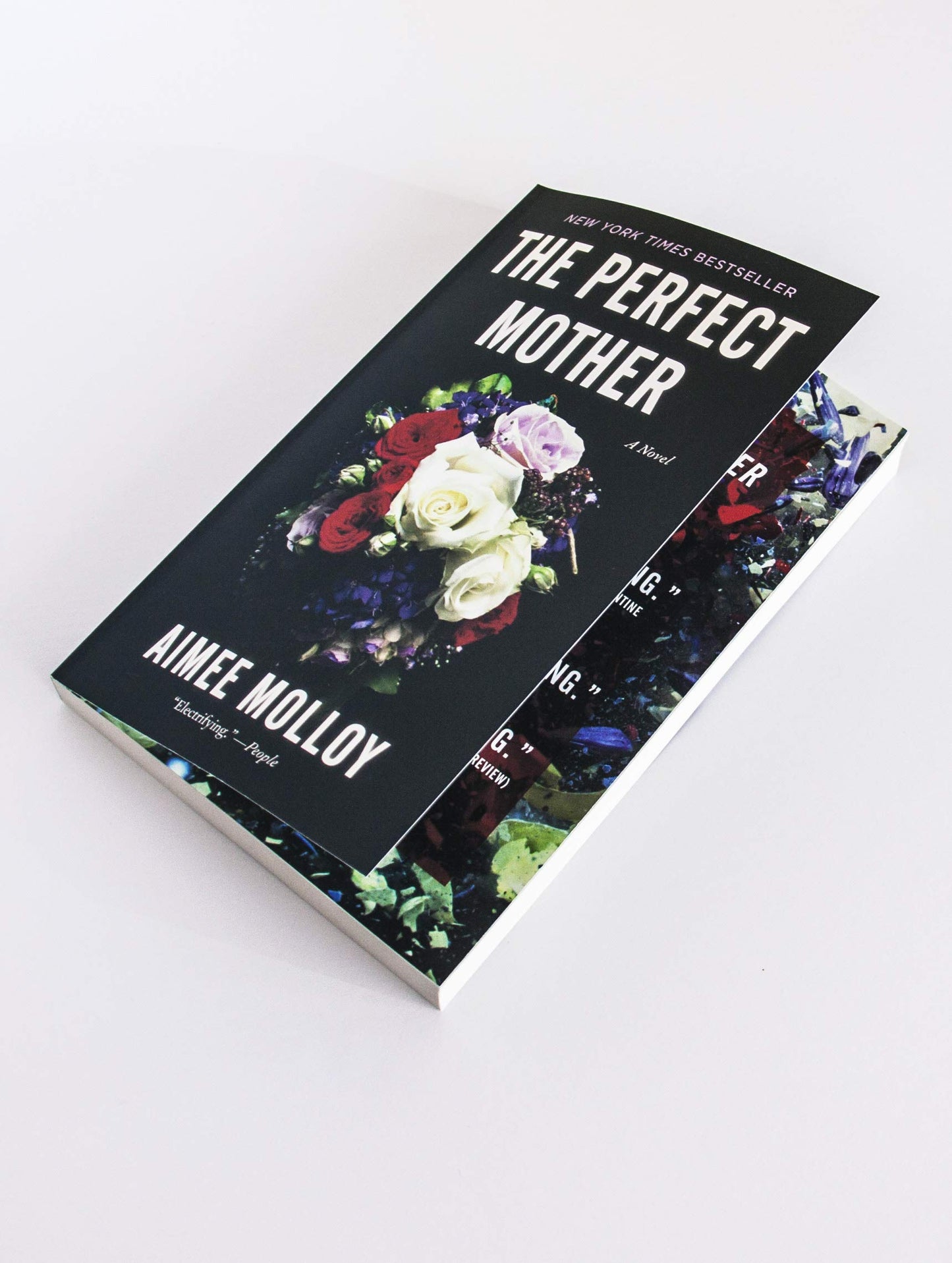 The Perfect Mother: A Novel