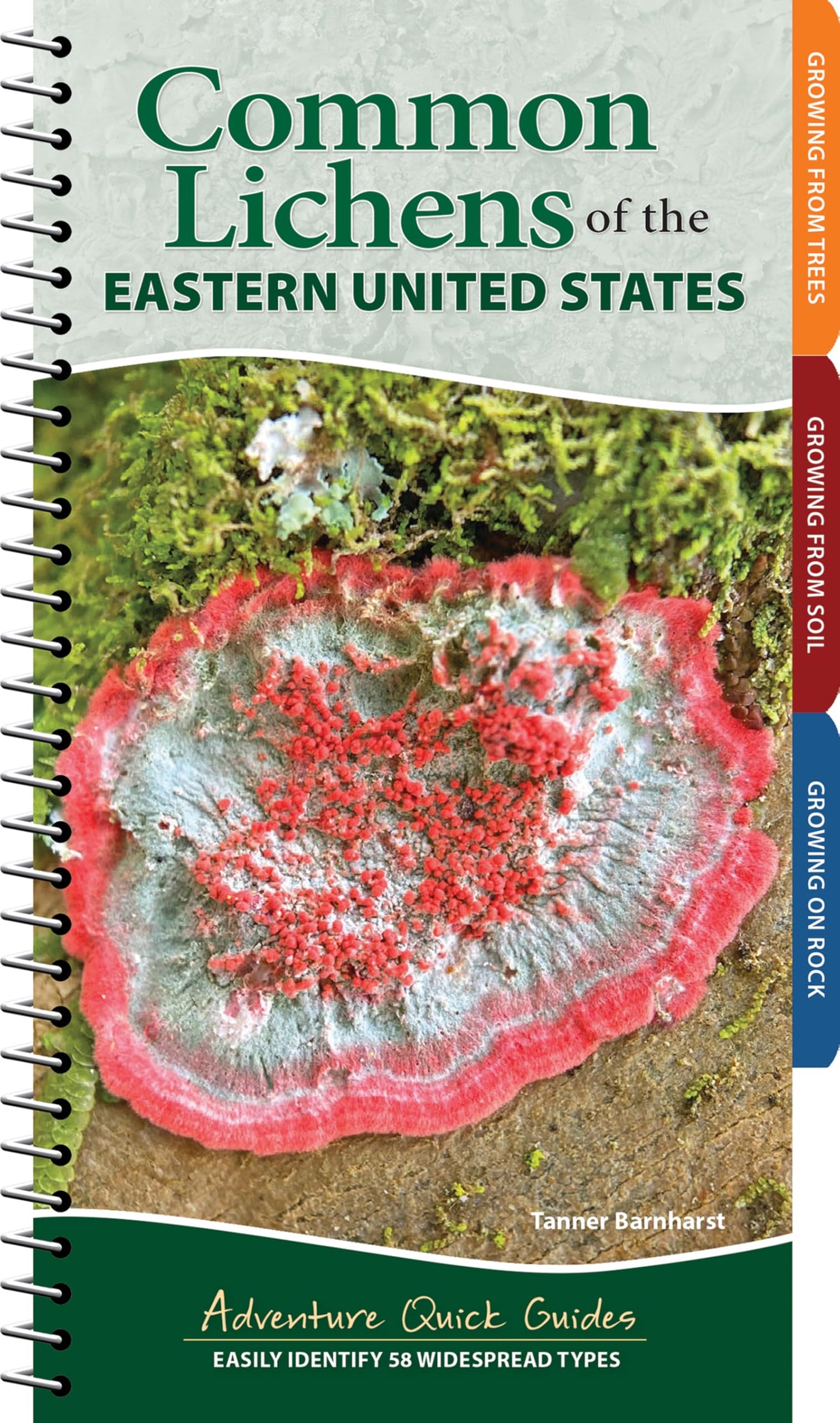 Common Lichens of the Eastern United States: Easily Identify 58 Widespread Types (Adventure Quick Guides)