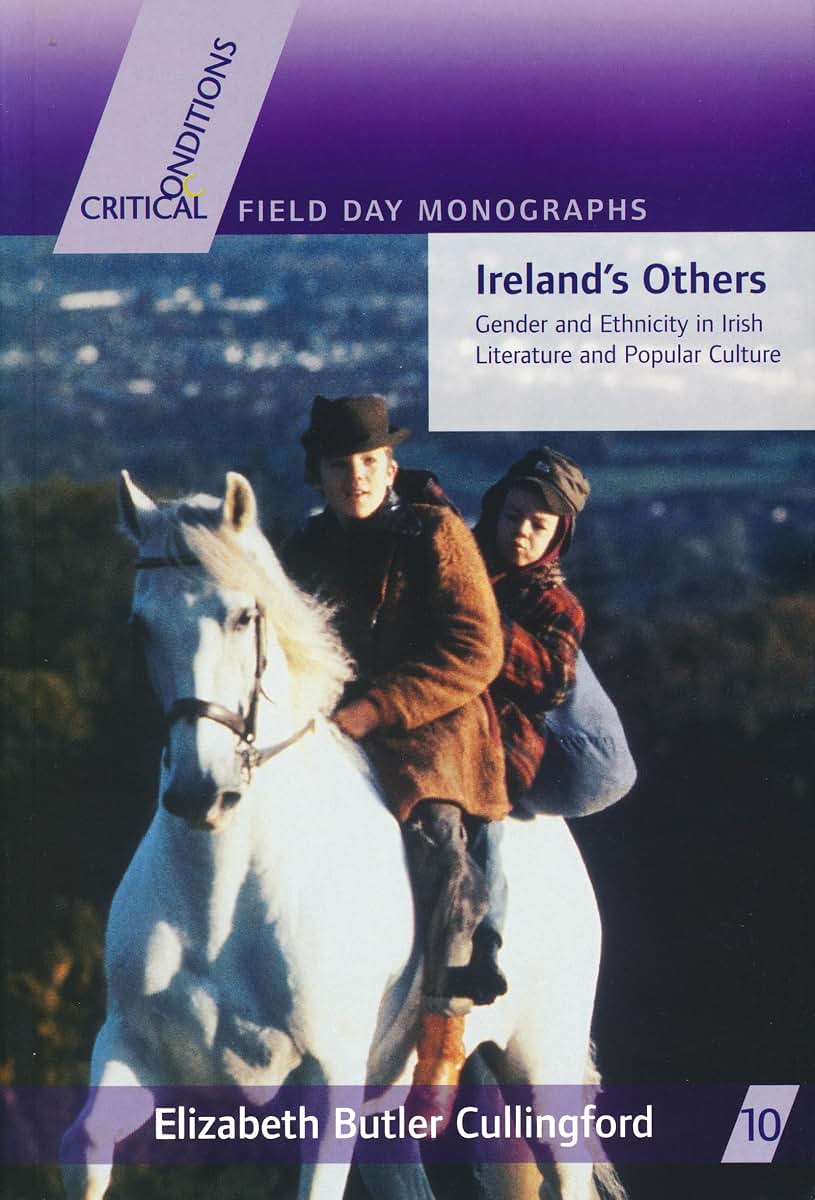 Ireland's Others: Ethnicity and Gender in Irish Literature and Popular Culture (Critical Conditions: Field Day Essays and Monographs)