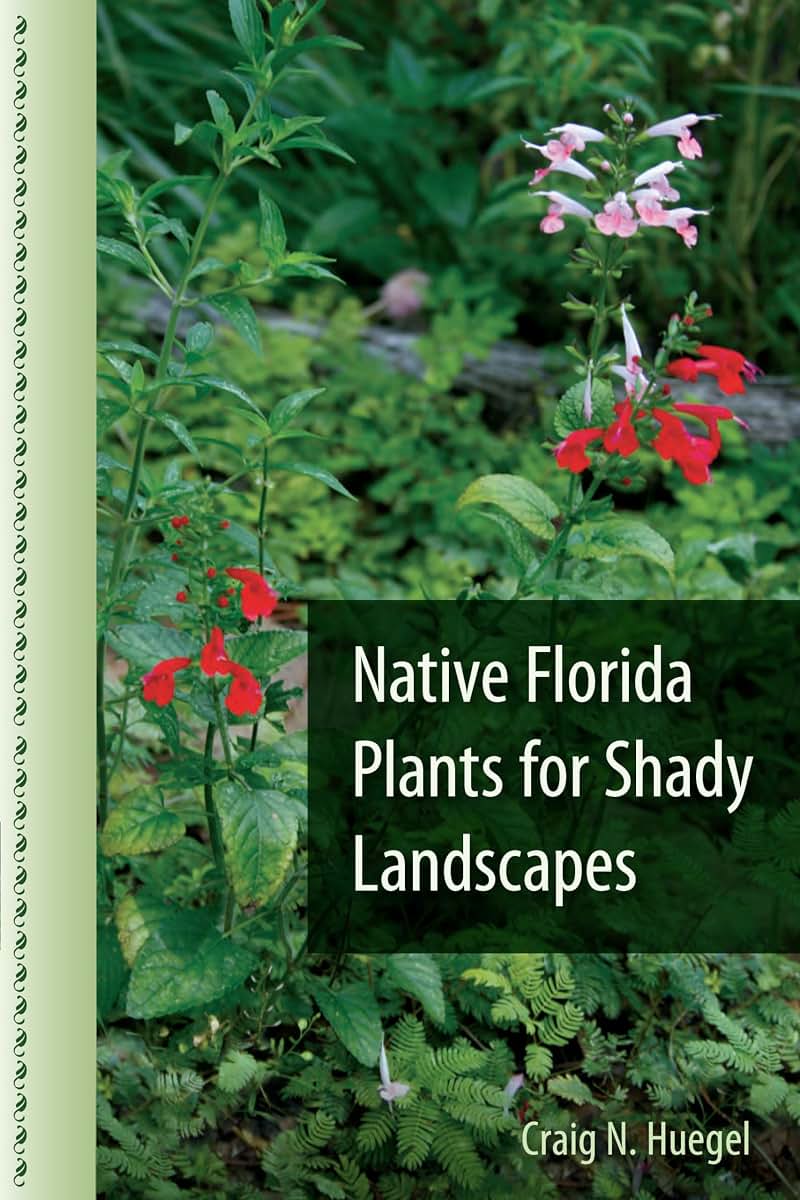 Native Florida Plants for Shady Landscapes