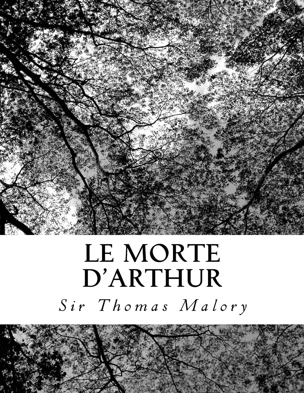 Le Morte D'arthur