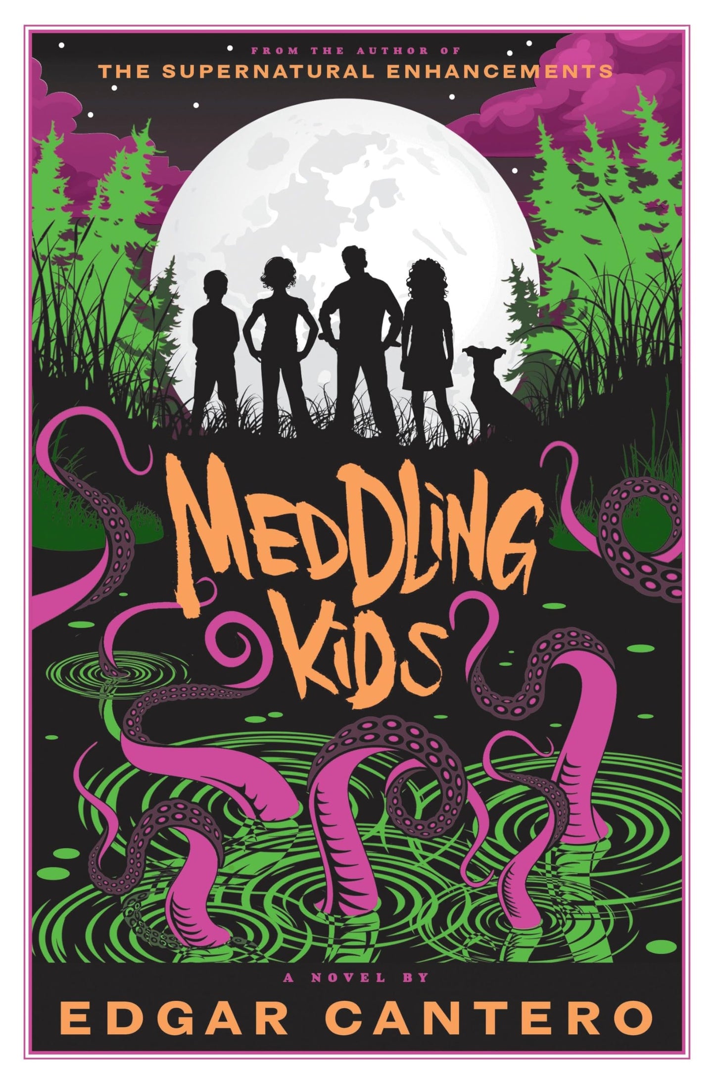 Meddling Kids: A Novel by Cantero, Edgar