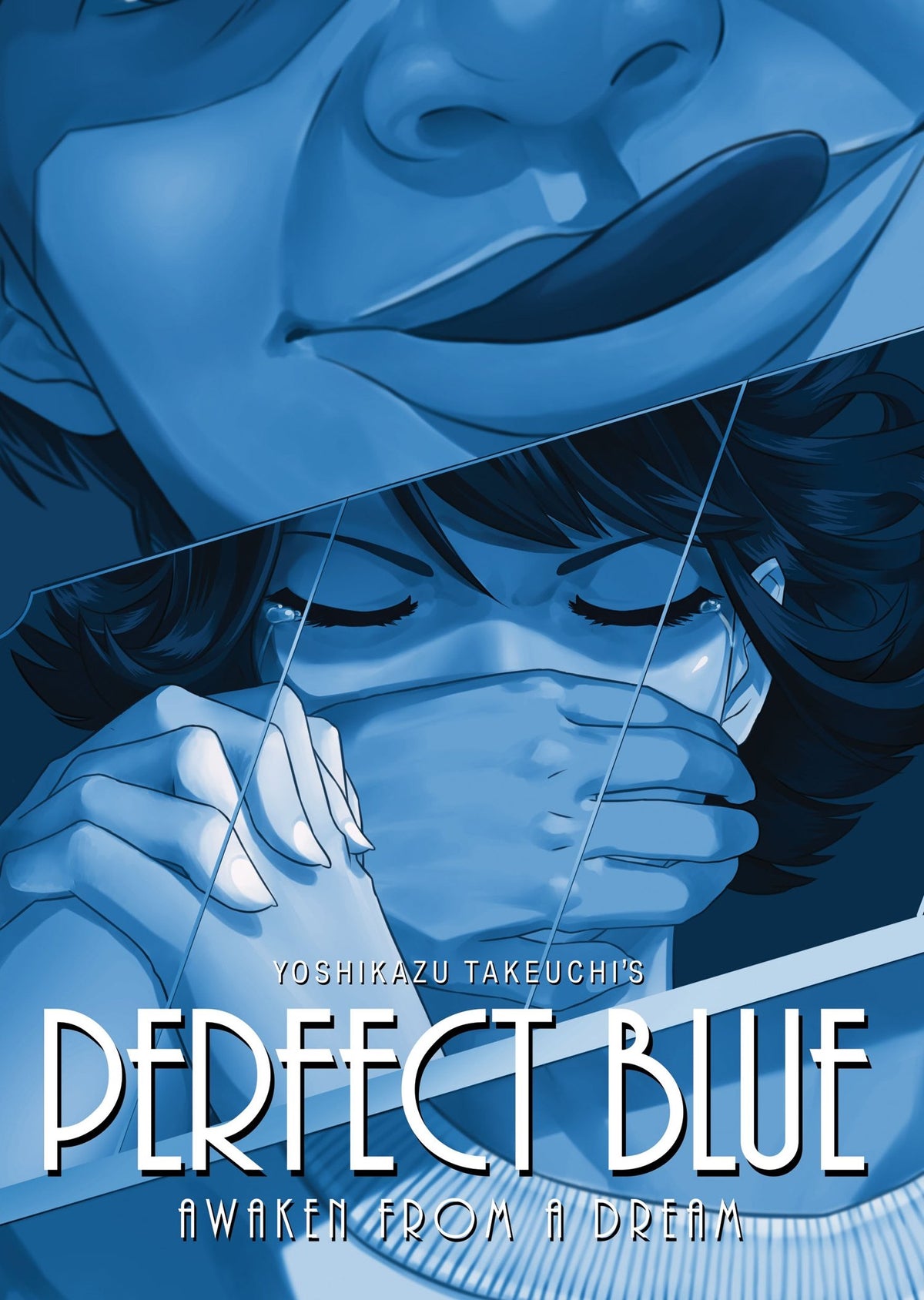 Perfect Blue: Awaken from a Dream (Light Novel) (Perfect Blue (Light Novel))