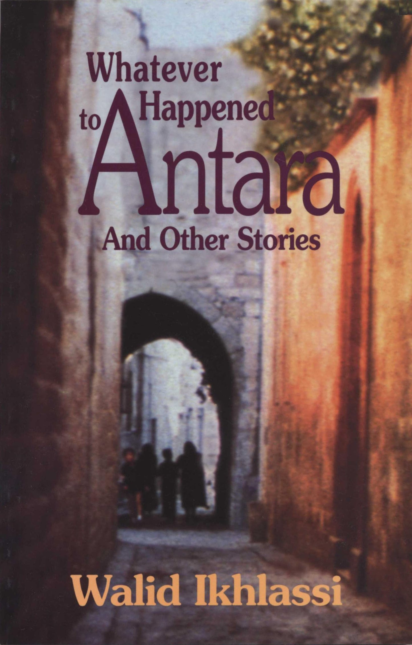 Whatever Happened to Antara?: And Other Stories (CMES Modern Middle East Literatures in Translation)