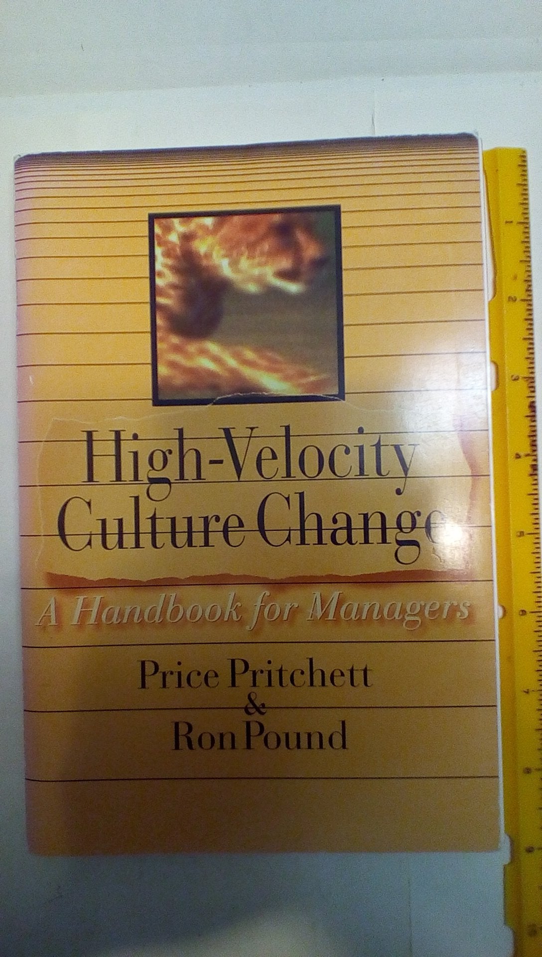 High Velocity Culture Change: A Handbook for Managers by Pri