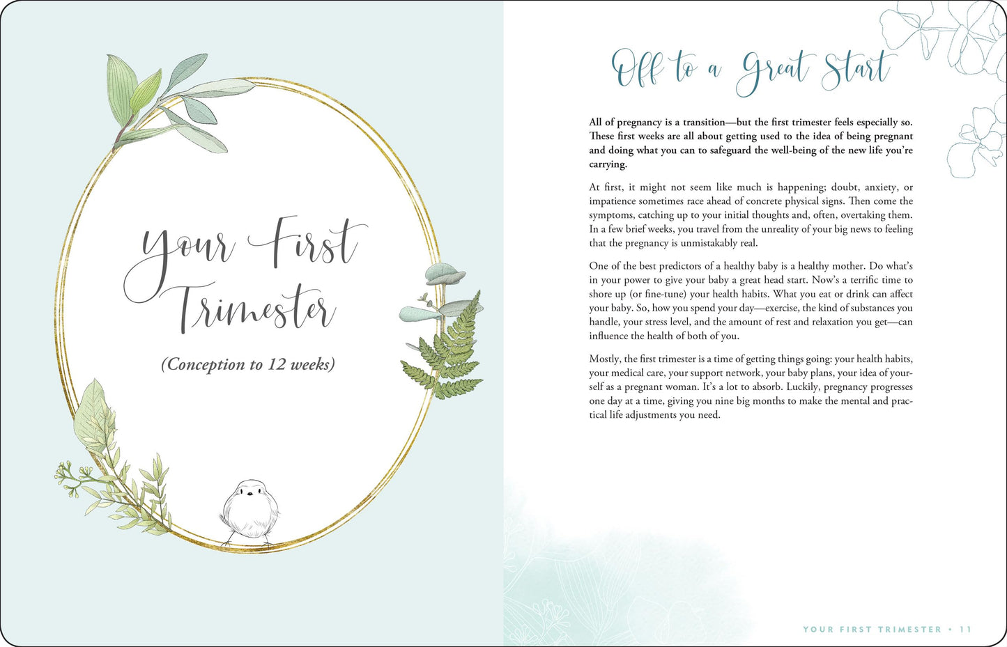 Pregnancy Journal: A Week-By-Week Guide to a Happy, Healthy Pregnancy (Deluxe, Cloth-bound 3rd edition)