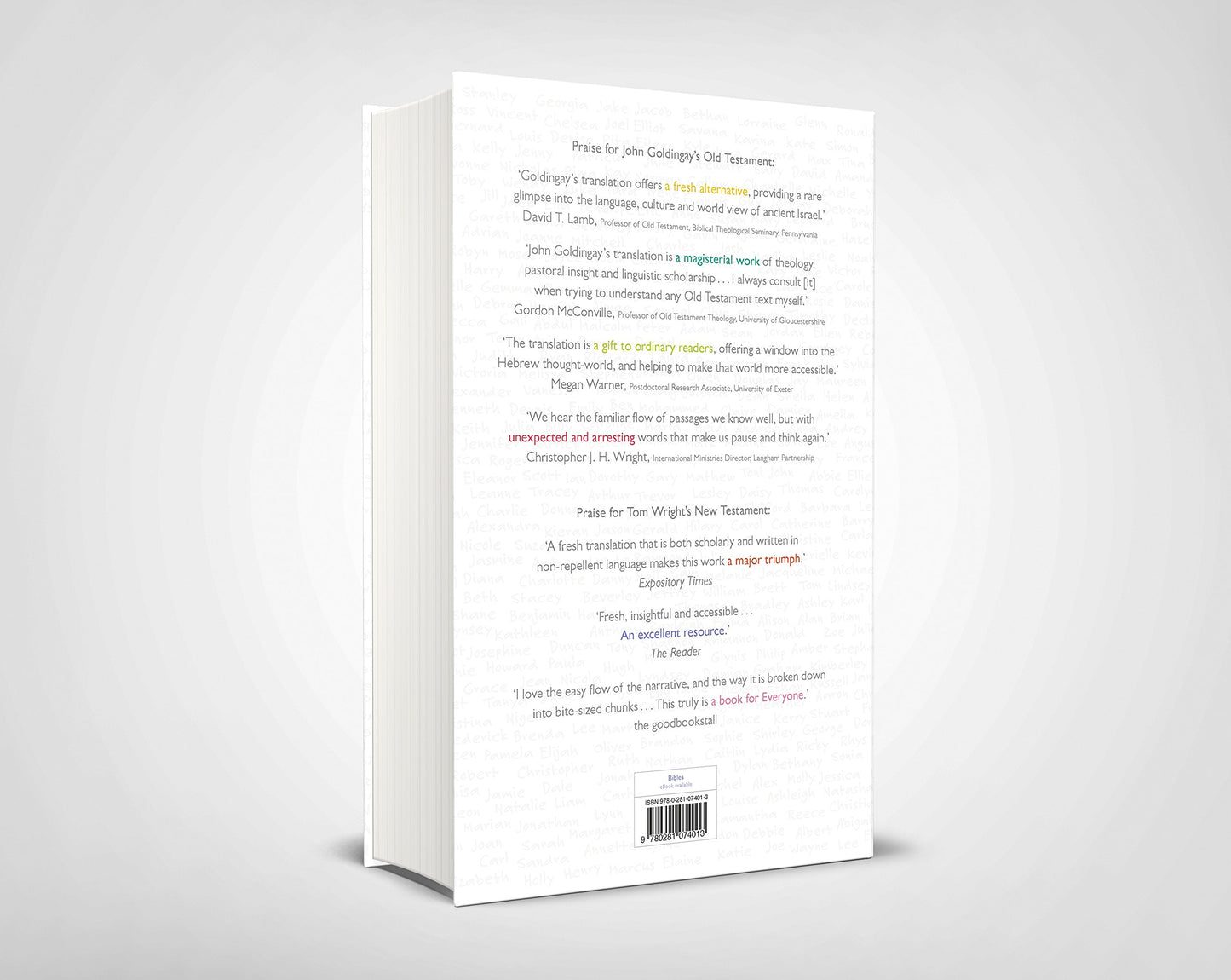 The Bible for Everyone by John E. Goldingay