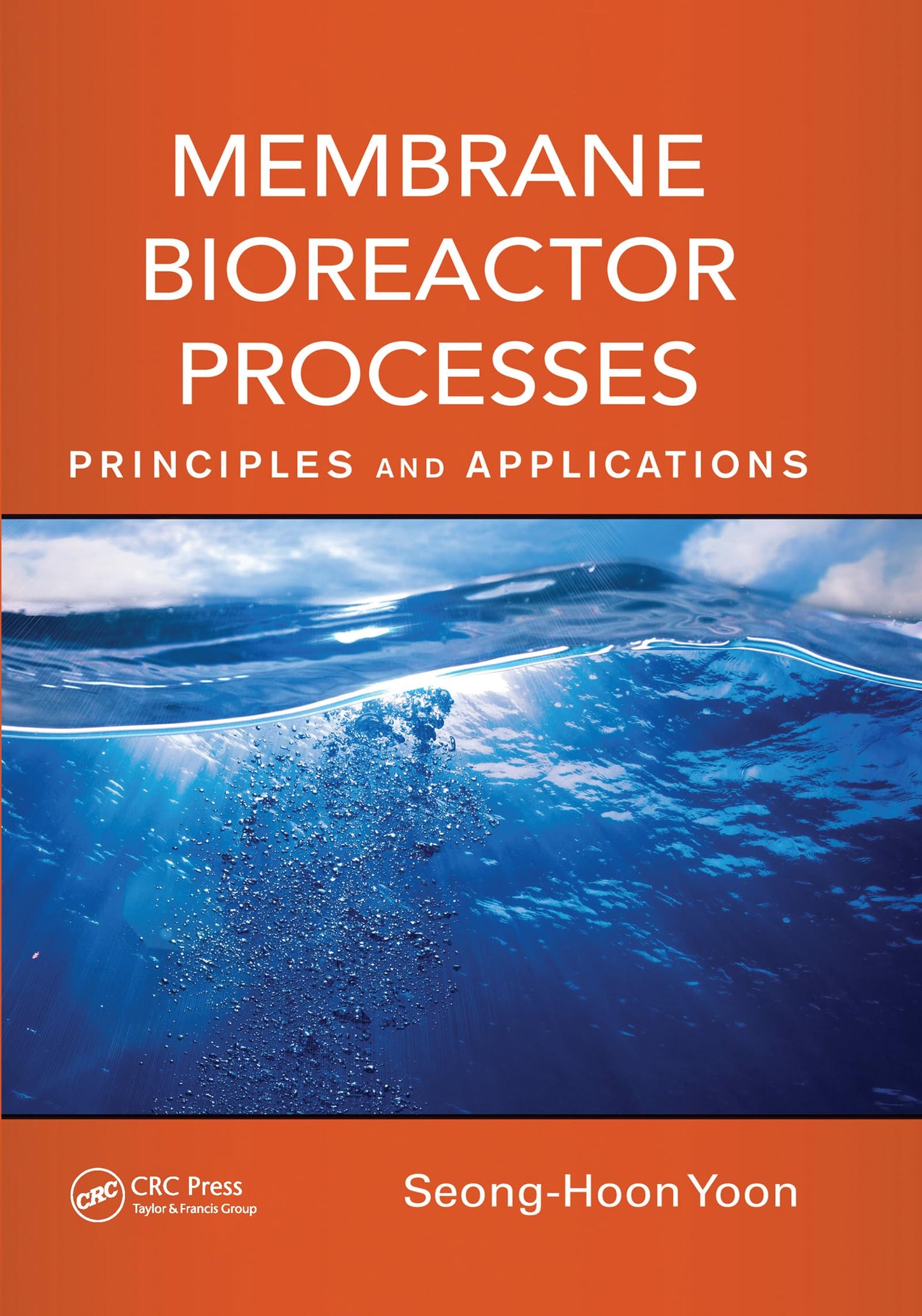 Membrane Bioreactor Processes (Advances in Water and Wastewater Transport and Treatment)
