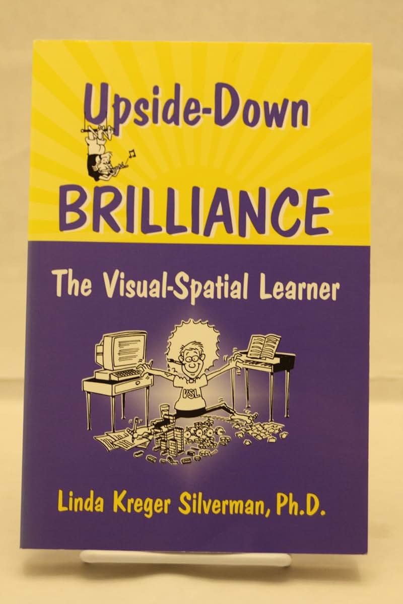 Upside-Down Brilliance: The Visual-Spatial Learner by Silver