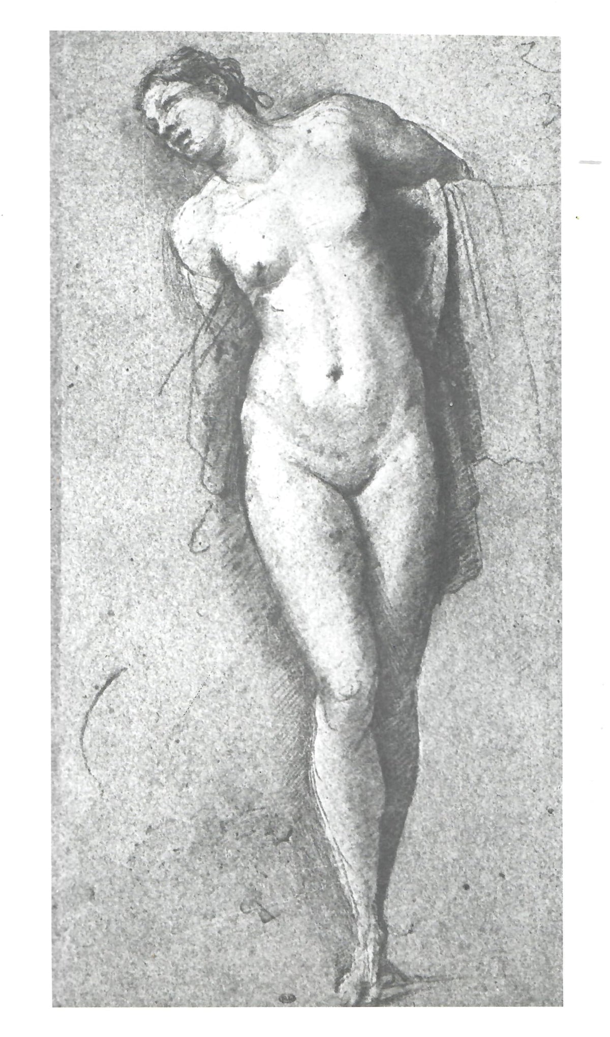 Anatomy Lessons of The Great Masters (Practical Art Books)