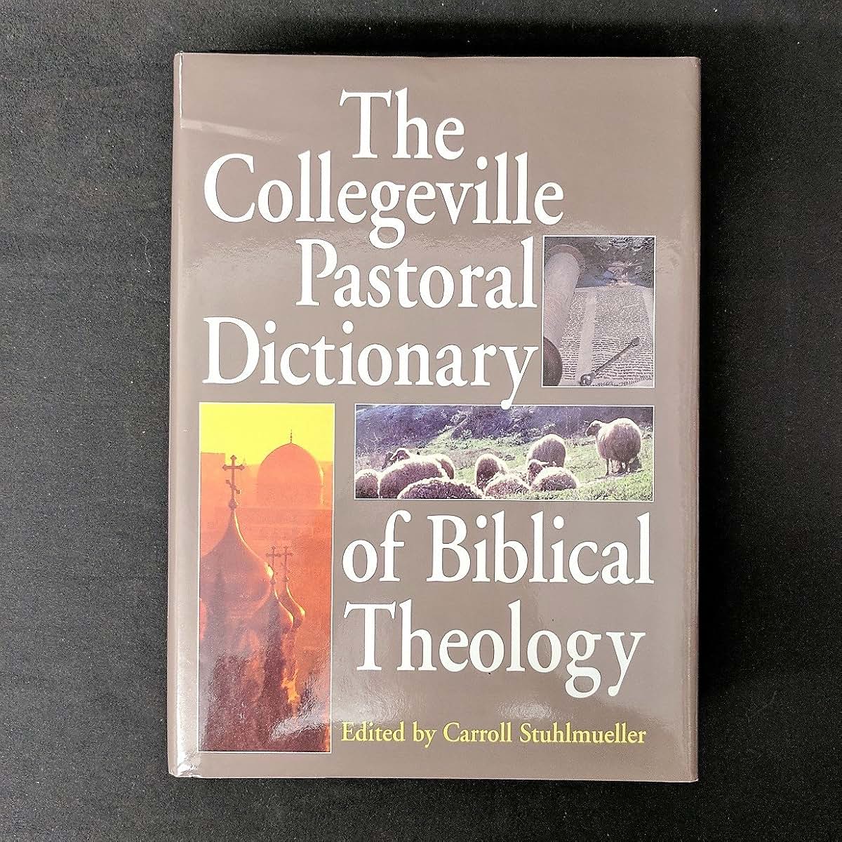 The Collegeville Pastoral Dictionary of Biblical Theology
