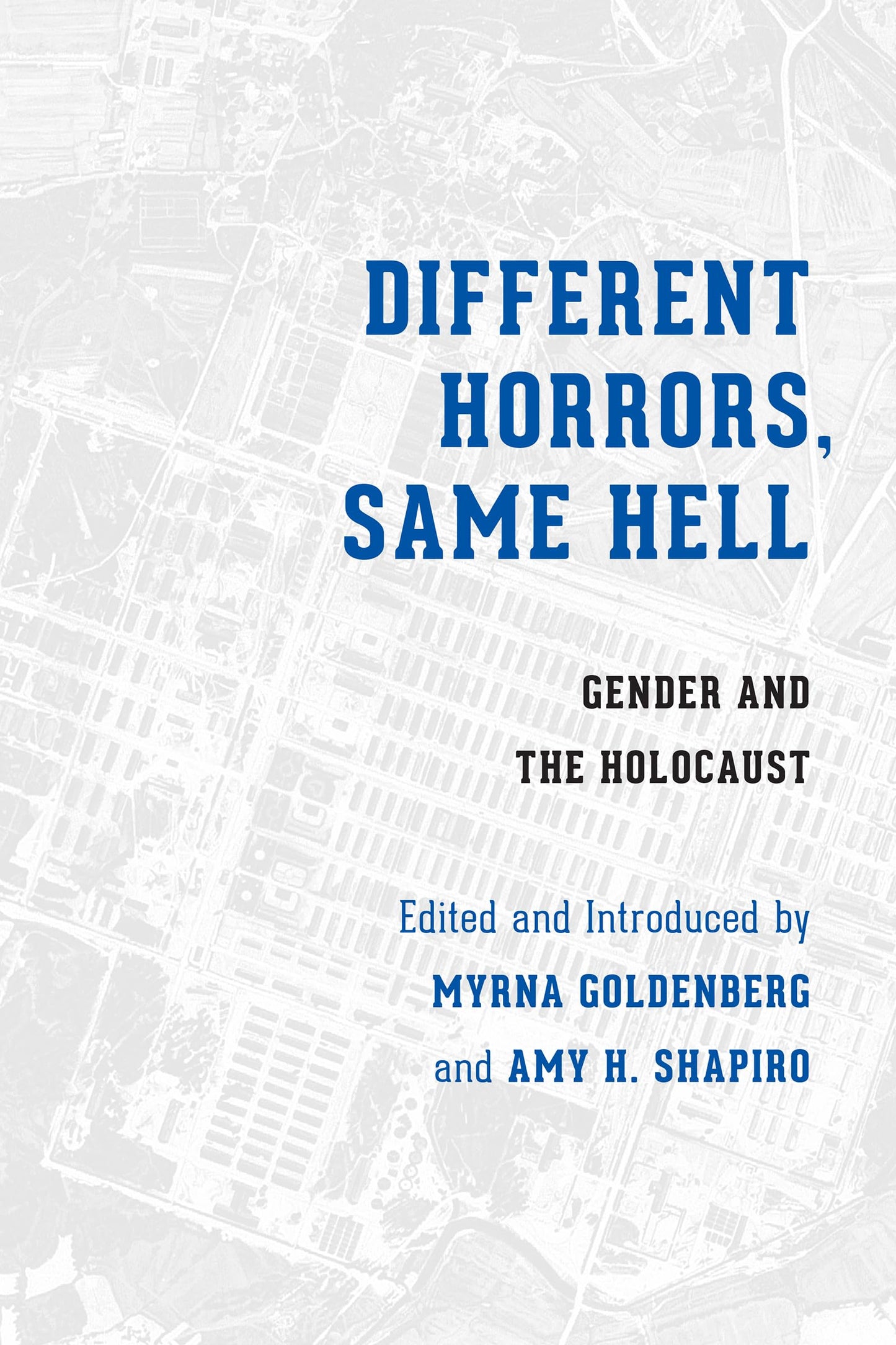 Different Horrors, Same Hell: Gender and the Holocaust (Stephen S. Weinstein Series in Post-Holocaust Studies)