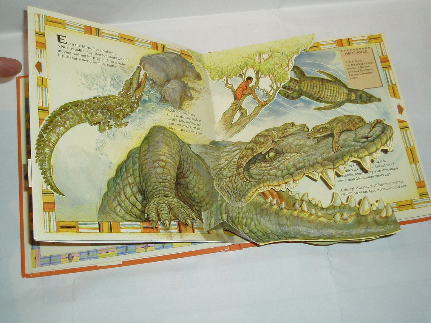 Pop-Up: African Animal Giants (A National Geographic Action Book)