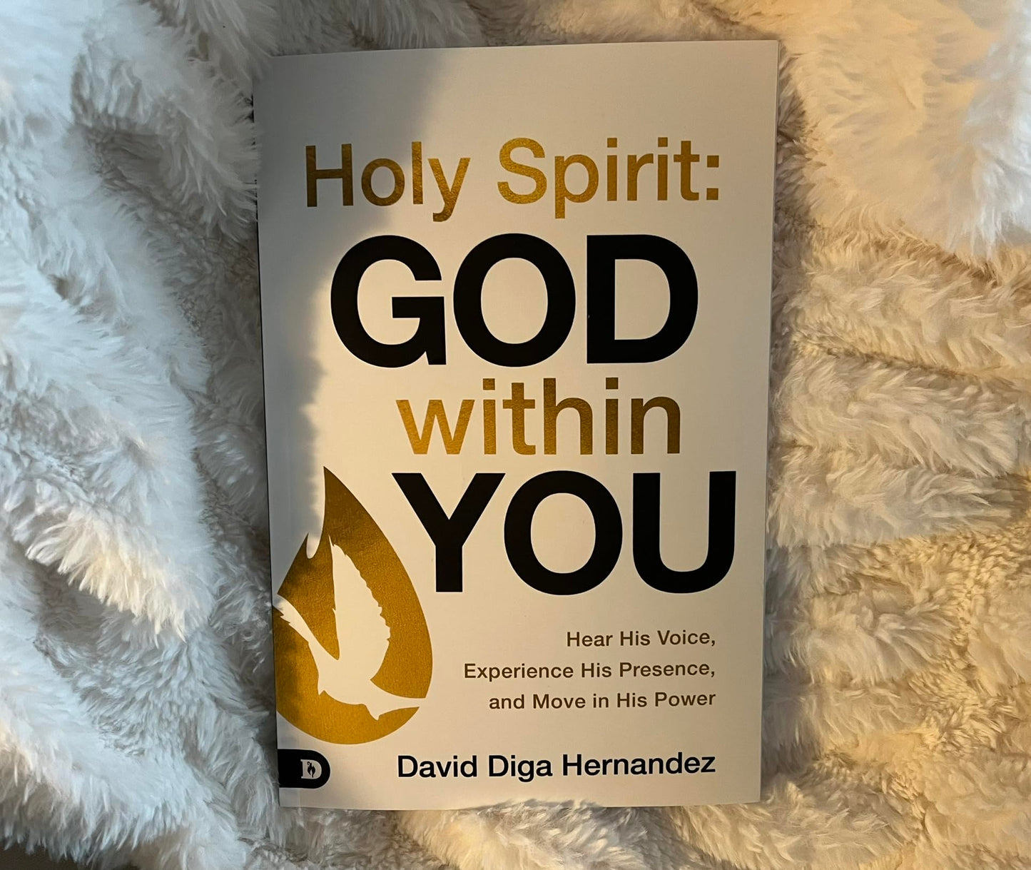 Holy Spirit: God Within You: Hear His Voice,Experience His Presence,and Move in His Power