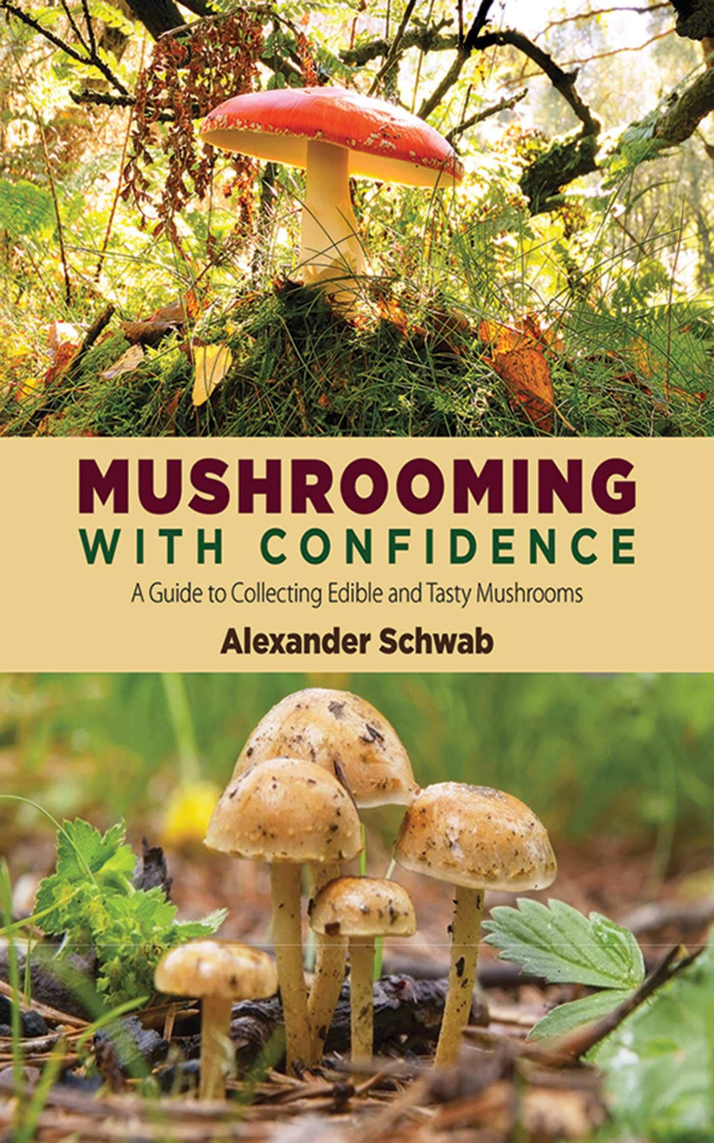 Mushrooming with Confidence: A Guide to Collecting Edible and