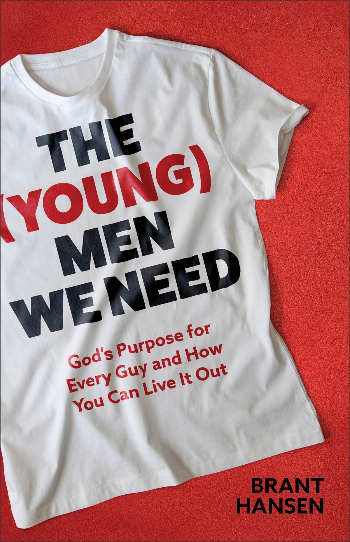(Young) Men We Need: Gods Purpose for Every Guy and How You Can Live It Out