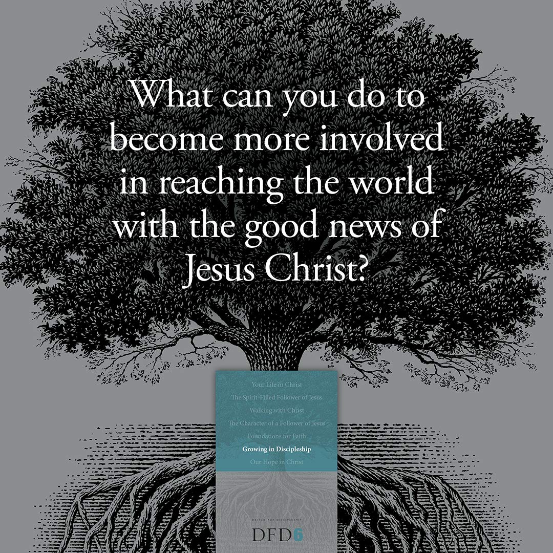 Growing in Discipleship (Design for Discipleship)