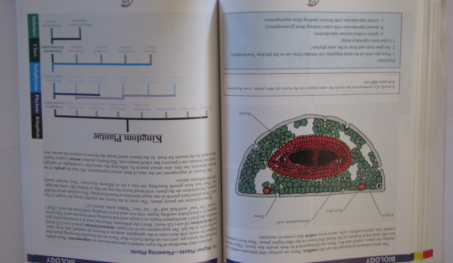 Rainbow Science Curriculum