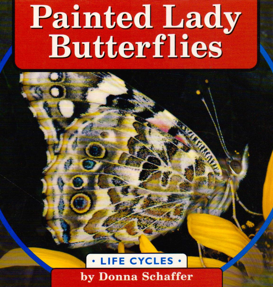 Painted Lady Butterflies (Life Cycles) by Donna Schaffer