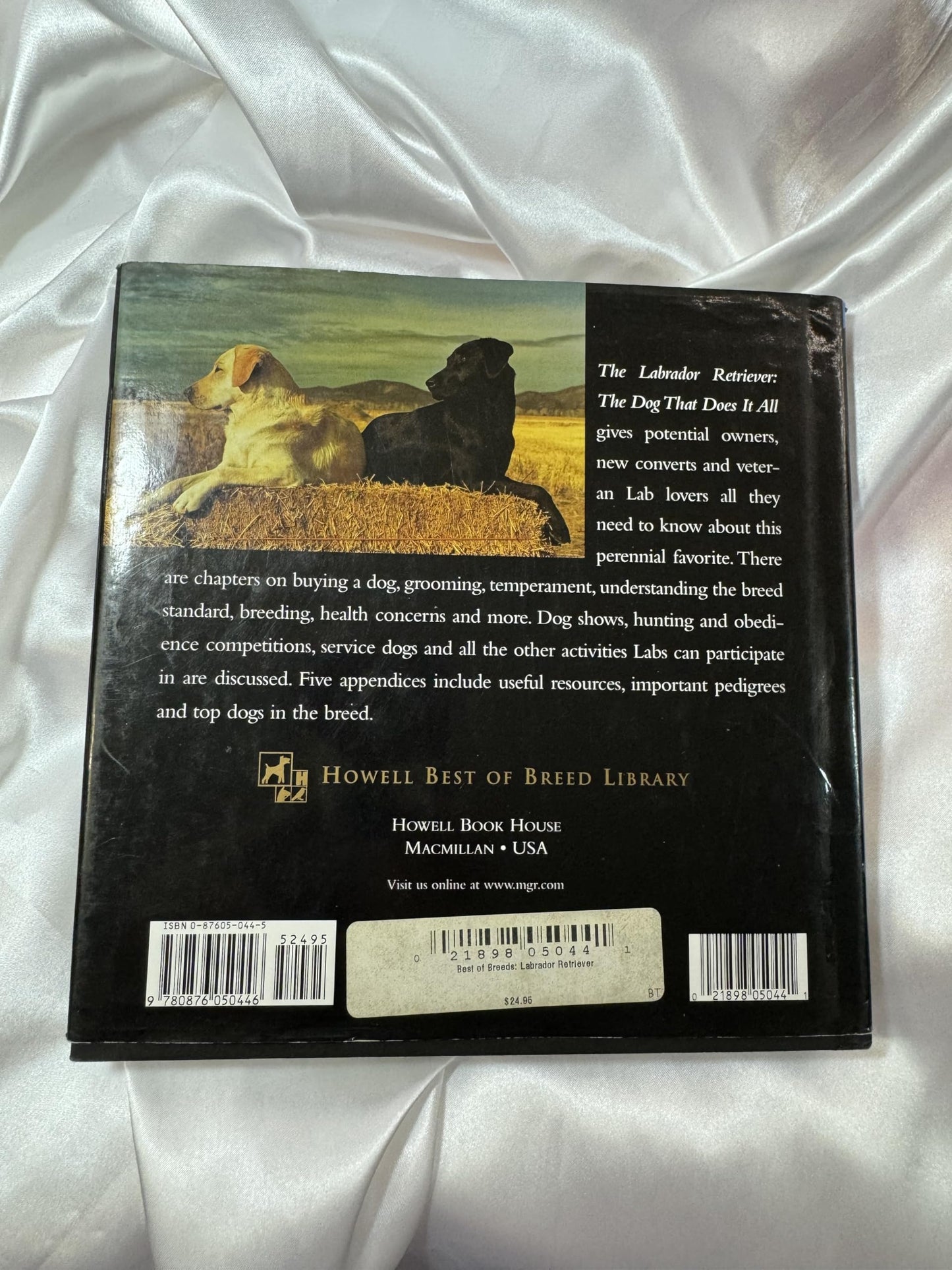 The Labrador Retriever: The Dog That Does It All