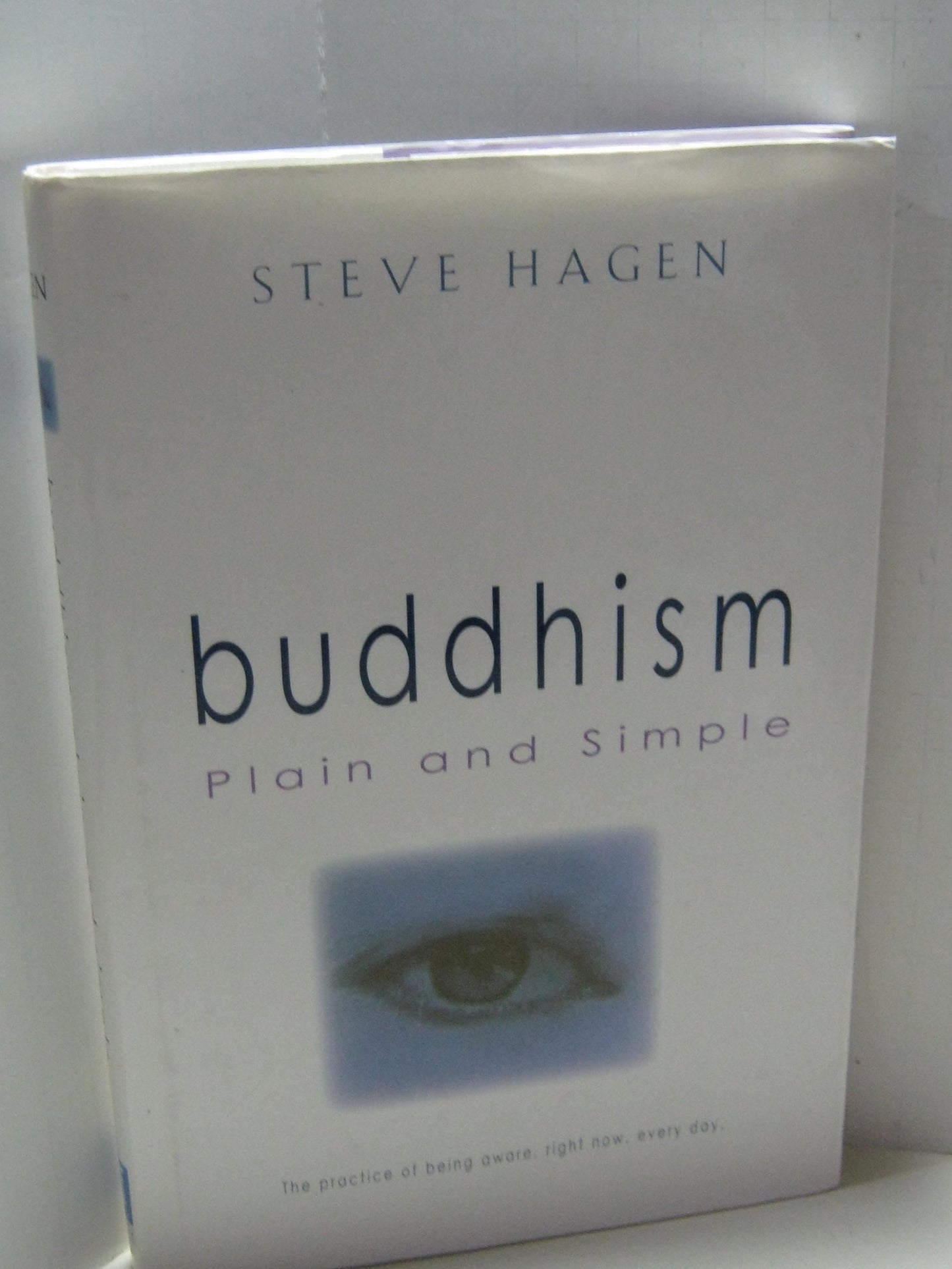 Buddhism Plain and Simple