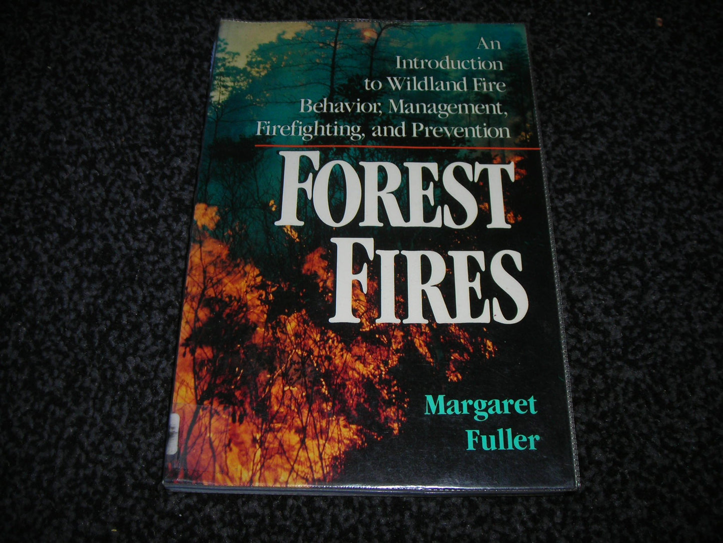 Forest Fires: An Introduction to Wildland Fire Behavior, Man