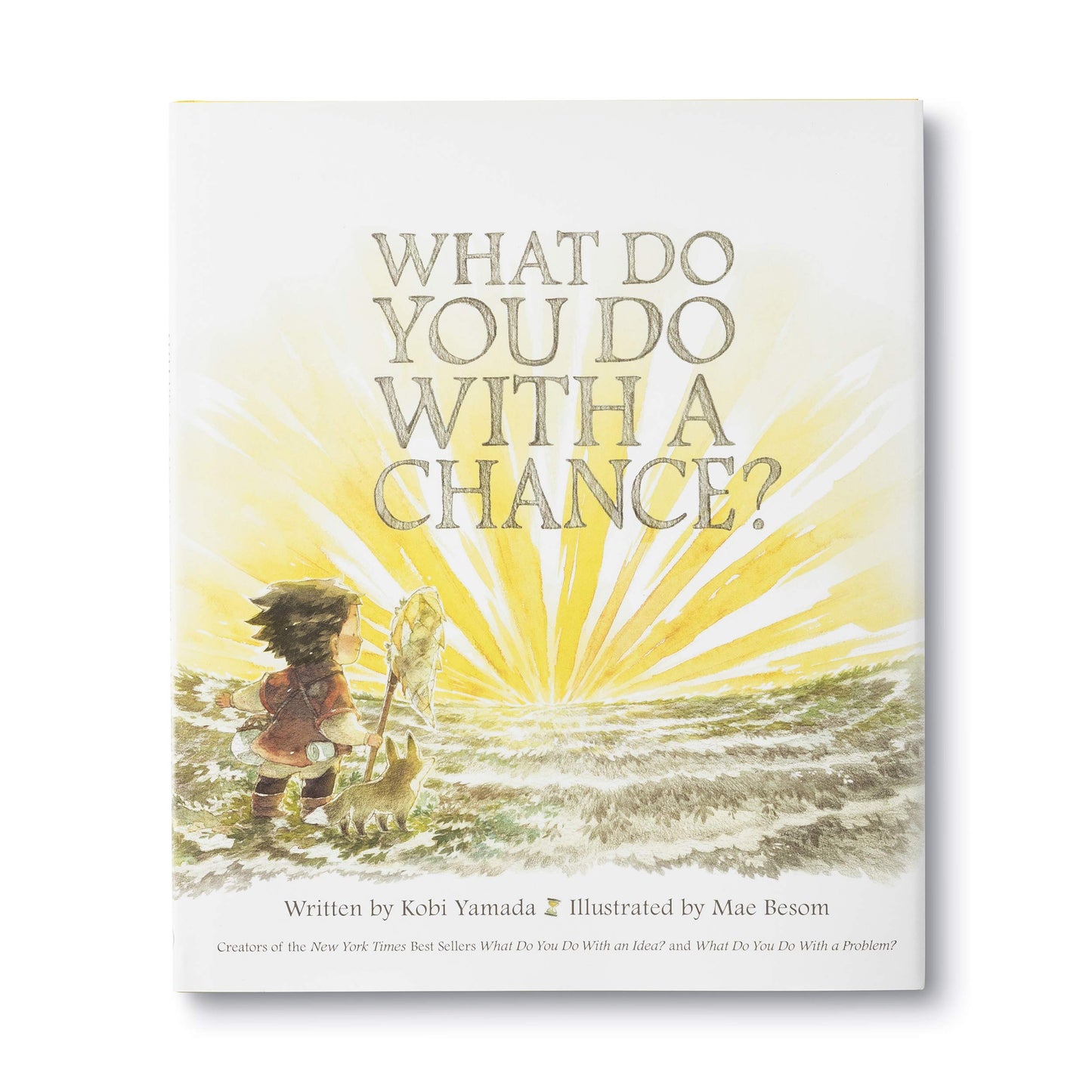 What Do You Do With a Chance? - New York Times Best Seller