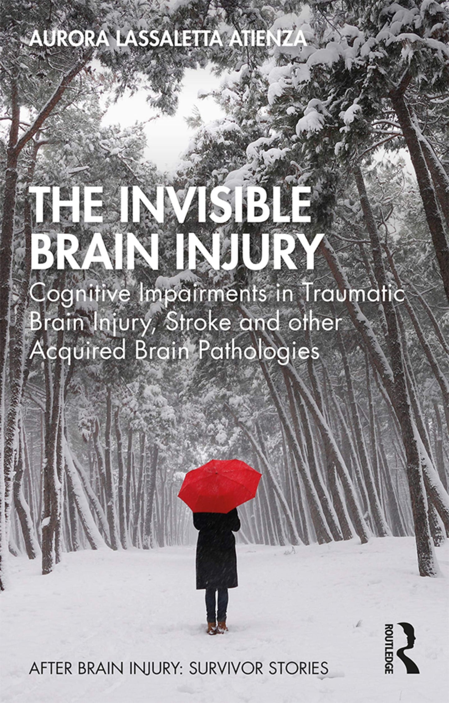 The Invisible Brain Injury: Cognitive Impairments in Traumatic Brain Injury, Stroke and other Acquired Brain Pathologies (After Brain Injury: Survivor Stories)